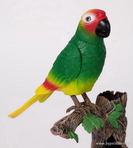 Mluvící papoušek - nové zboží se zárukou - foto 2