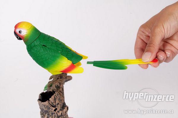 Mluvící papoušek - nové zboží se zárukou - foto 3