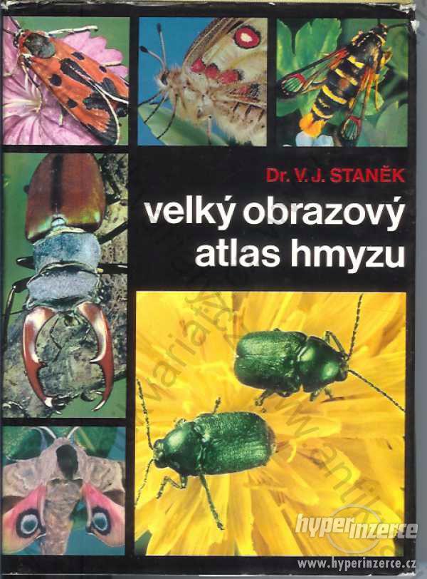 Velký obrazový atlas hmyzu Staněk Artia Praha 1970 - foto 1