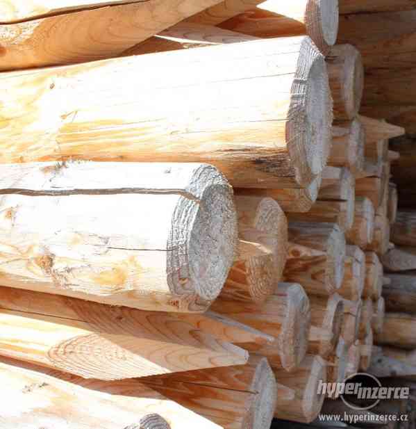 Dřevěné kůly - foto 1