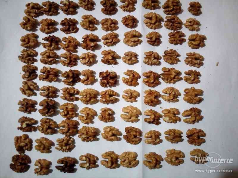 Prodám Ořechy půlky Vlašské vylouskané 2023 - foto 1
