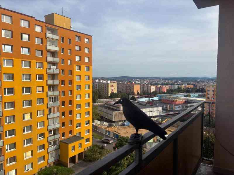Pronájem garsoniéry Plzeň  Košutka - foto 5