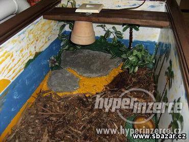 ŽELVÁRIUM - foto 1