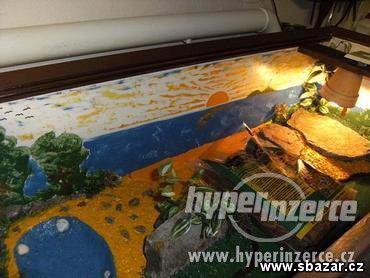 ŽELVÁRIUM - foto 2