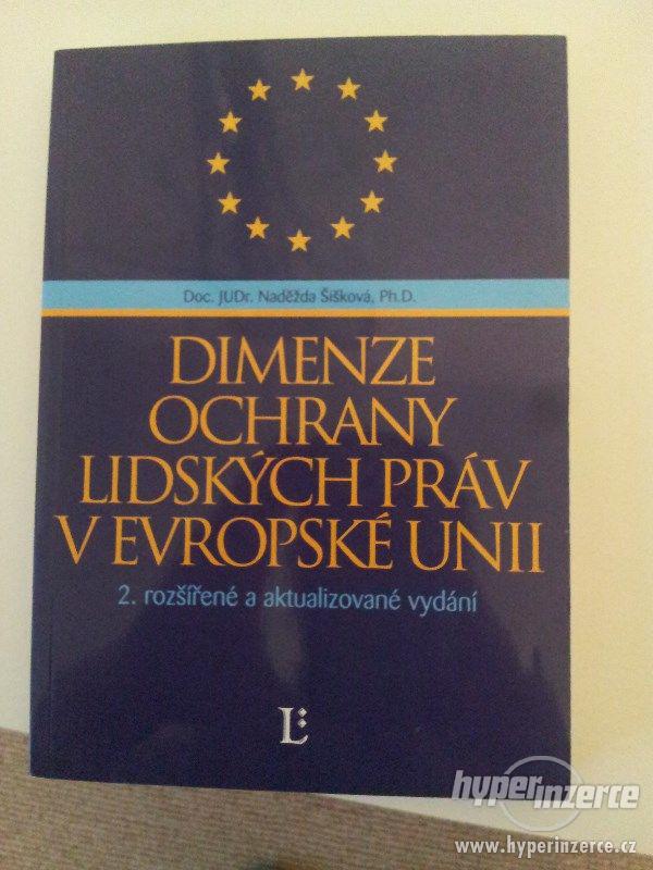 prodej knihy - Dimenze ochrany lidských práv v EU - foto 1