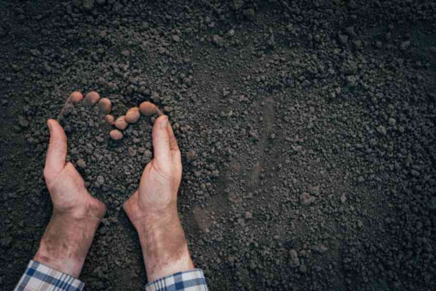 Zemina nabídka / poptávka