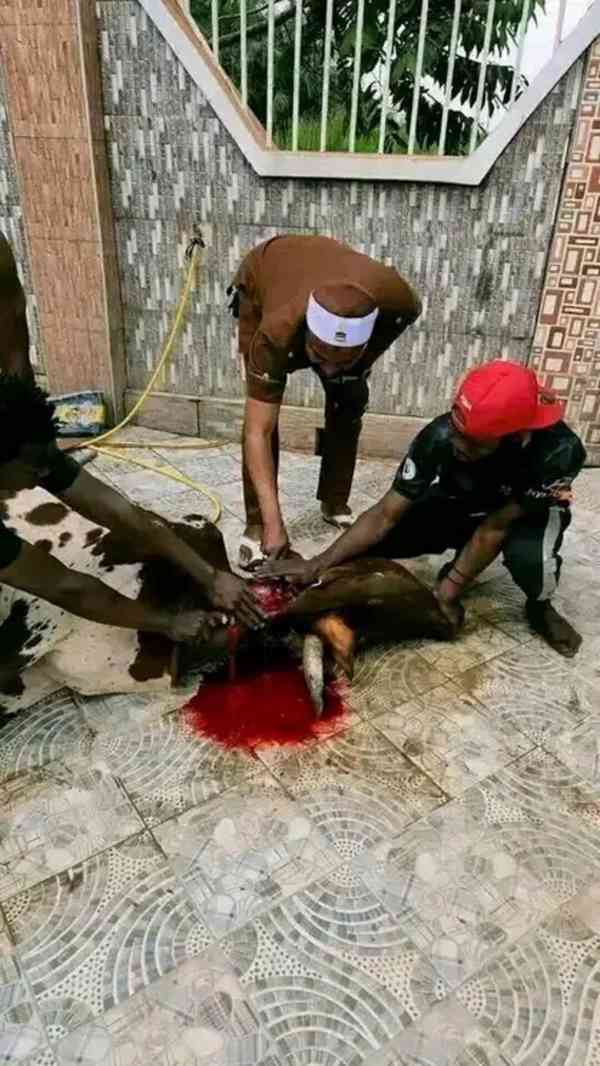 Illuminati freemasons Uganda call 0761255151/0702388589 - foto 2