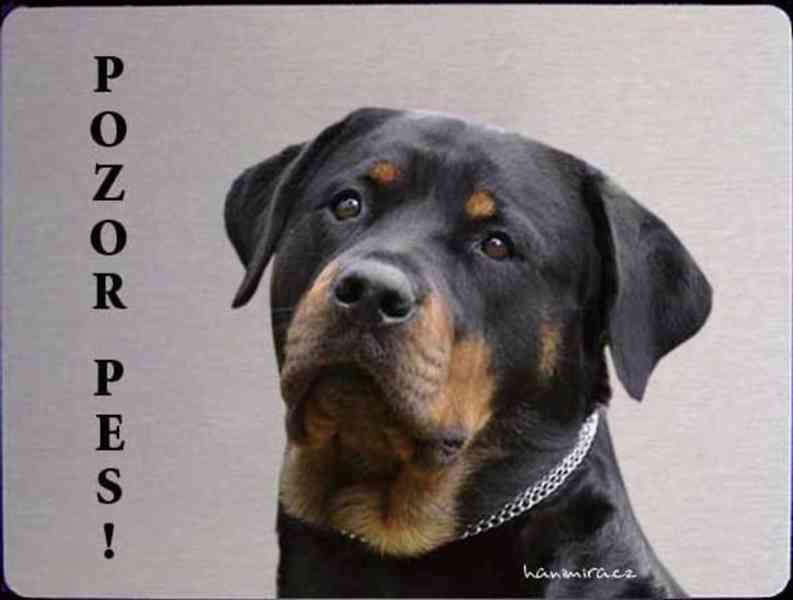 Hliníková tabulka POZOR PES Rotvajler, Rottweiler - foto 3