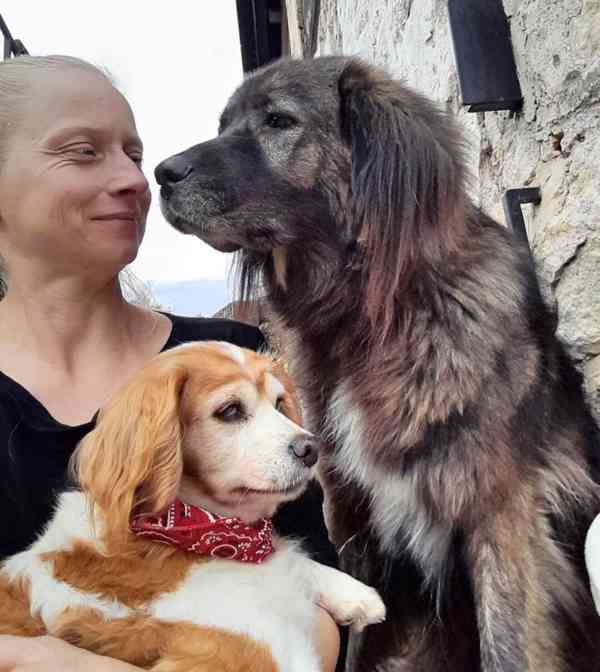 CINDY - 7 kg, kastrovaná fenečka 13 let  - foto 4