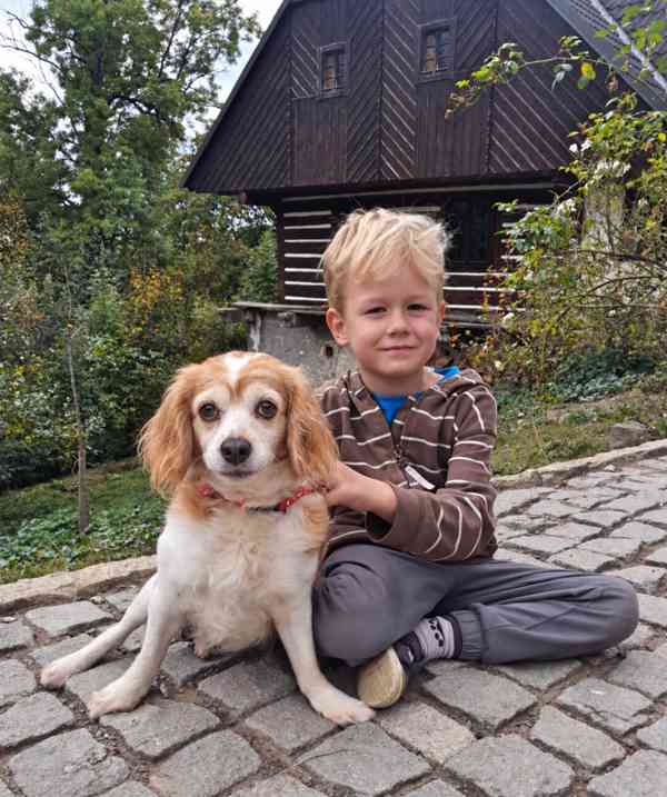 CINDY - 7 kg, kastrovaná fenečka 13 let  - foto 3