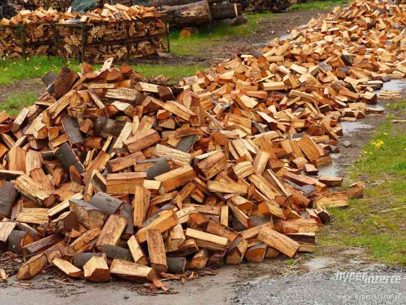 Prodám palivové dřevo - foto 1