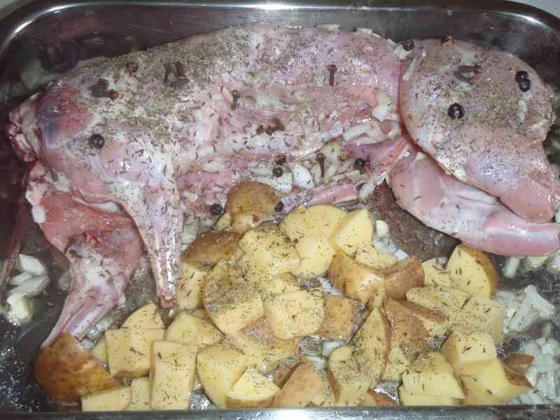Nutrie, dietní maso - foto 3
