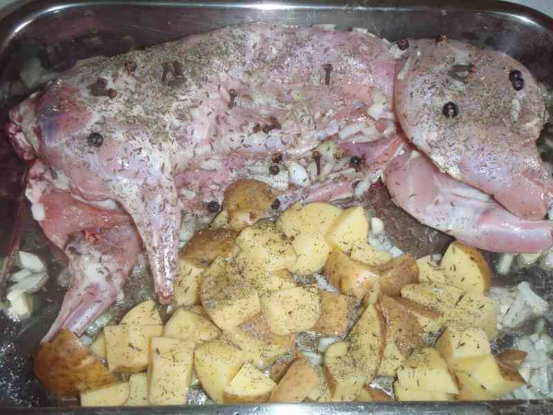 Nutrie, dietní maso - foto 5