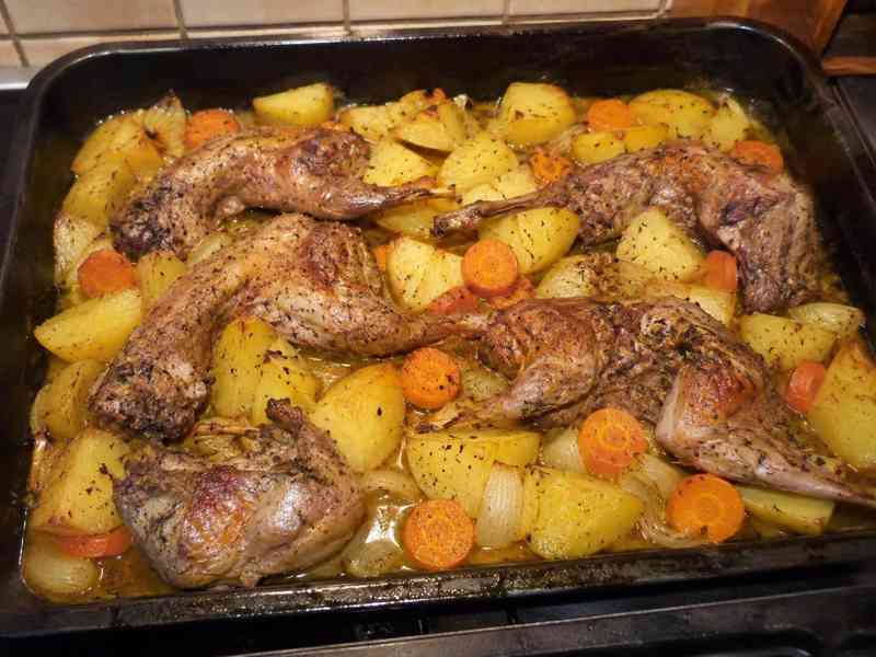 Nutrie, dietní maso - foto 3