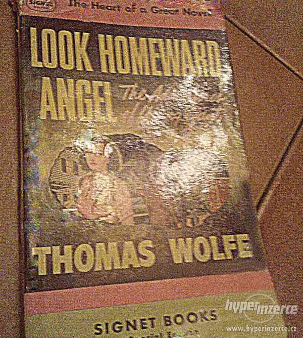 Thomas Wolfe: Look homeward, angel - foto 1