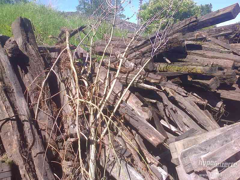 Dřevo za odvoz - foto 5