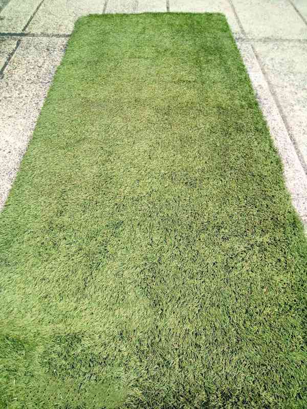 Travní pásy, travní koberec - foto 6