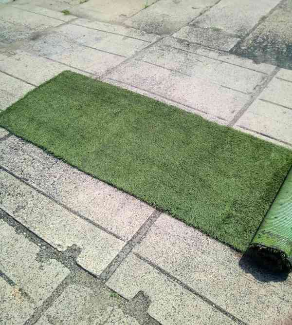 Travní pásy, travní koberec - foto 3