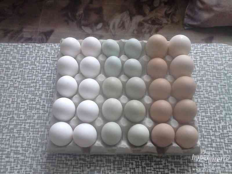 Domácí vajíčka - foto 2