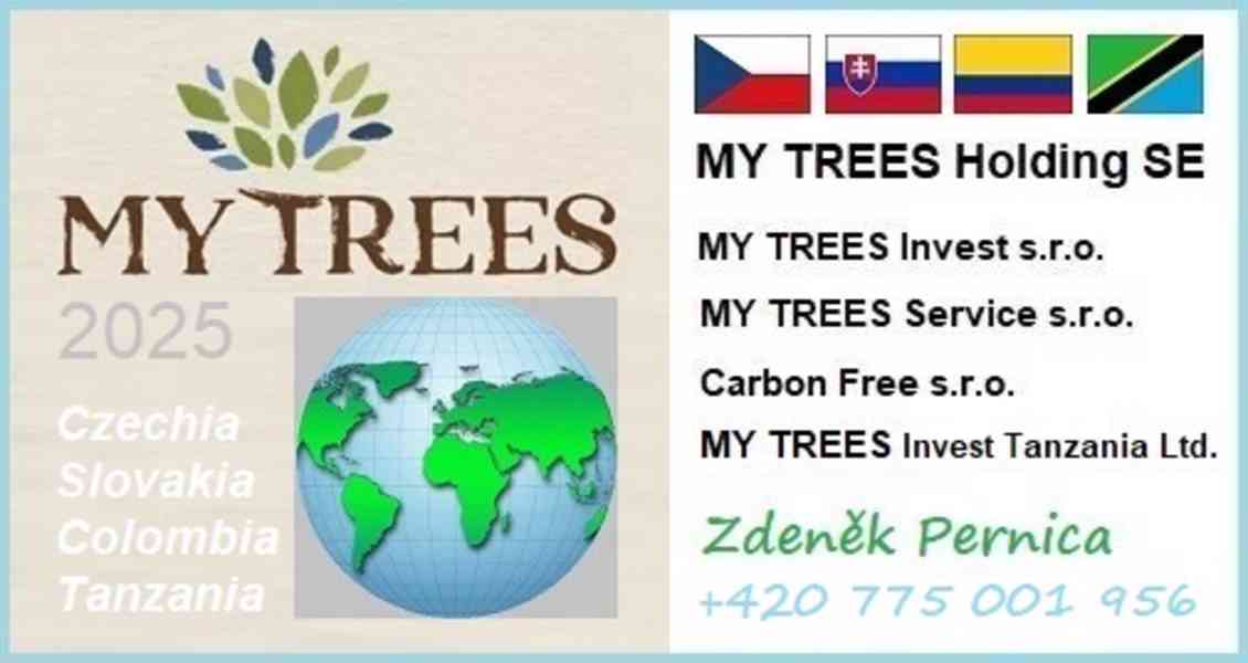 Investiční strom Eukalyptus / MY TREES / Vichada / Kolumbie - foto 3