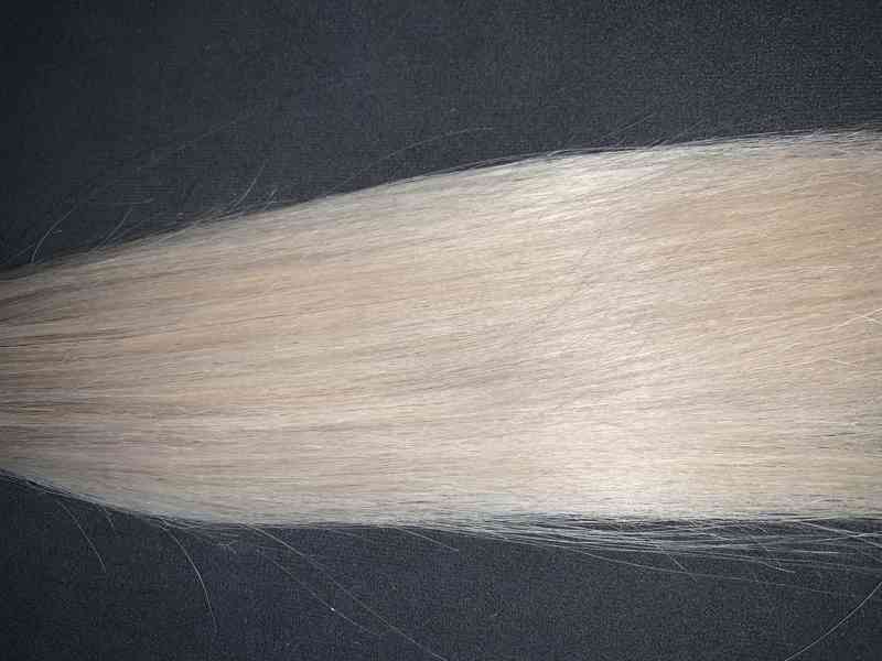Středoevropské platinové blond vlasy - foto 3