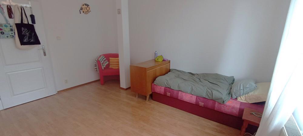 1.lůž. pok. v dívčím 3+1 RD, Studentka/ml. prac., prač/suš. - foto 6