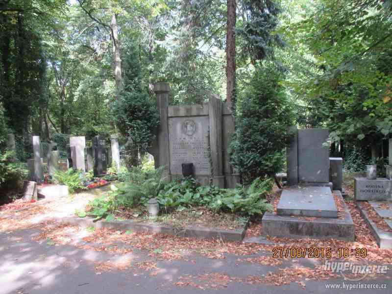 Prodej rodinného hrobu na Olšanském hřbitově. - foto 7