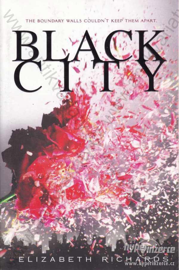 Black City Elizabeth Richards Penguin Books 2013 - foto 1