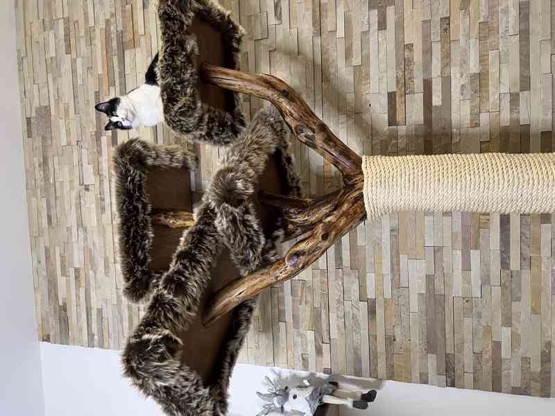 Škrabadlo pro kočky  - foto 2