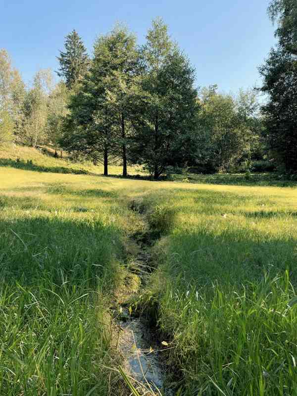 Zahrada na maringotku v Orlických horách 6838 m2 - foto 3