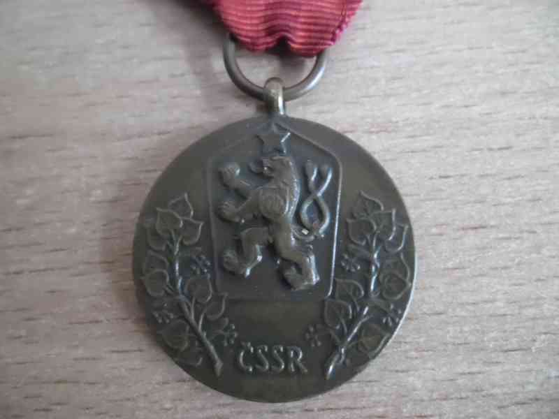 vyznamenání - Za službu vlasti - foto 3