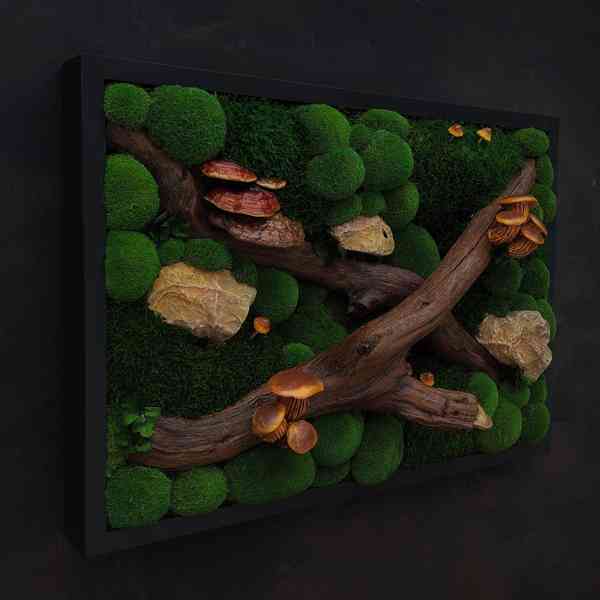 Mechový obraz / obraz ze stabilizovaného mechu - foto 4