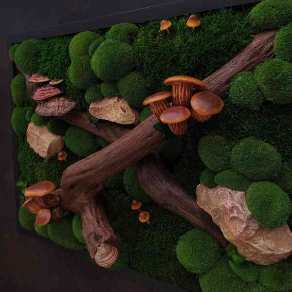 Mechový obraz / obraz ze stabilizovaného mechu - foto 6