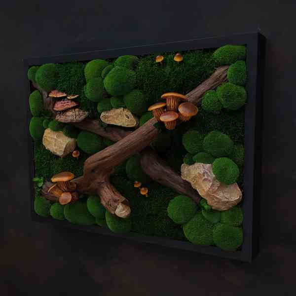 Mechový obraz / obraz ze stabilizovaného mechu - foto 3