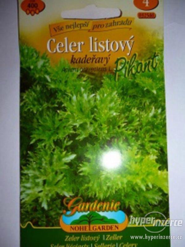 Celer listový-Pikant /www.rostliny-prozdravi.cz - foto 1