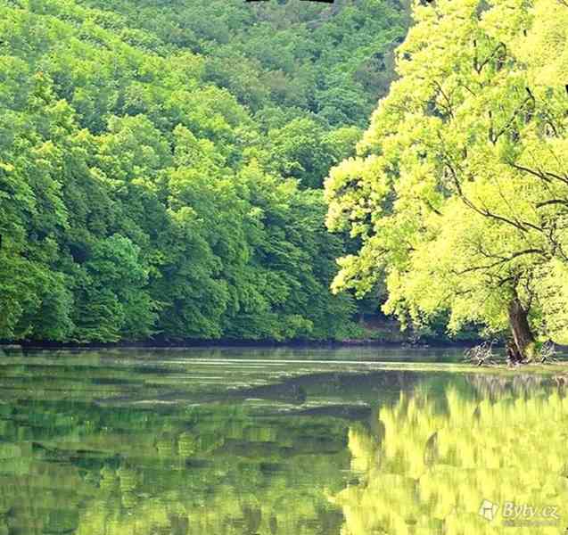 Pronajmu novostavbu  1+kk Brno, Jižní ( rezidence Svratka) - foto 16