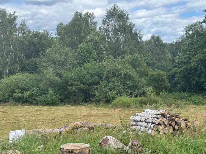 Prodej zahrady 2 000 m², Arnoltice - foto 2