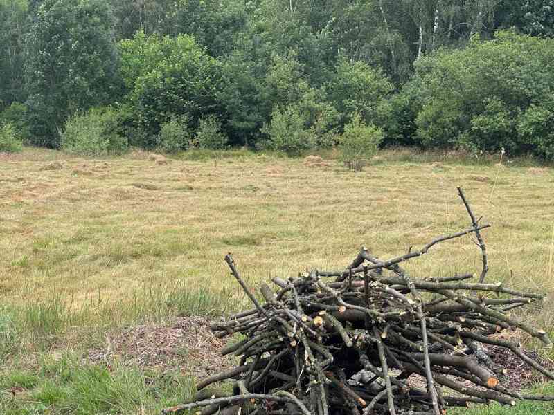 Prodej zahrady 2 000 m², Arnoltice - foto 4