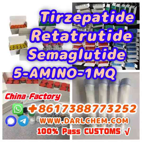 Semaglutide 5-AMINO-1MQ Retatrutide 910463-68-2  Factory - foto 3