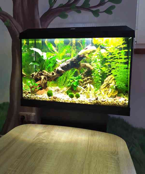 Prodám akvárium Juwel Primo 70 Led - foto 1