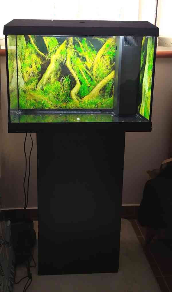 Prodám akvárium Juwel Primo 70 Led - foto 2