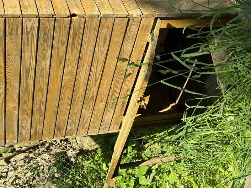 Prodám - dřevěná kadibudka nepoužívaná - foto 8