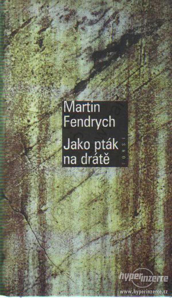 Jako pták na drátě Martin Fendrych 1998 Torst - foto 1