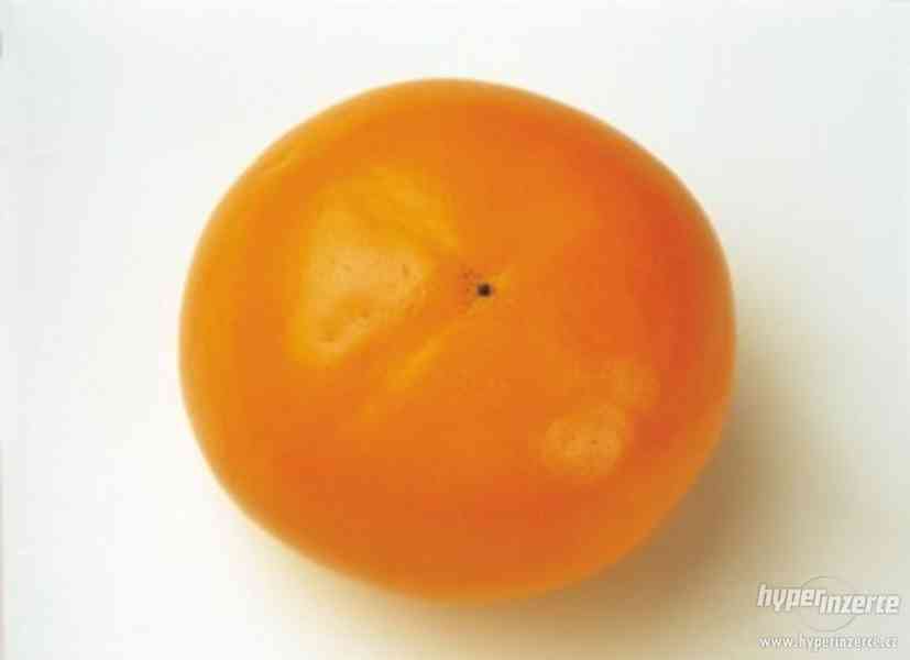 Rajče Orange - semena - foto 1