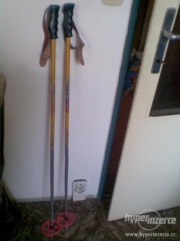 lyžařské hůlky - foto 1