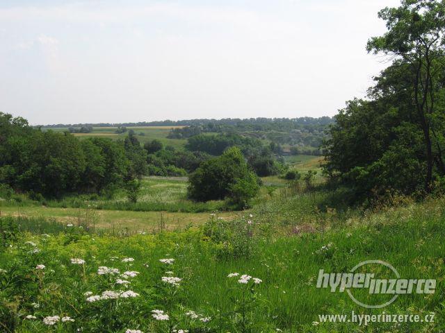 Exkluzivní nabídka pozemku na  Ukrajině 38 ha!!! - foto 1