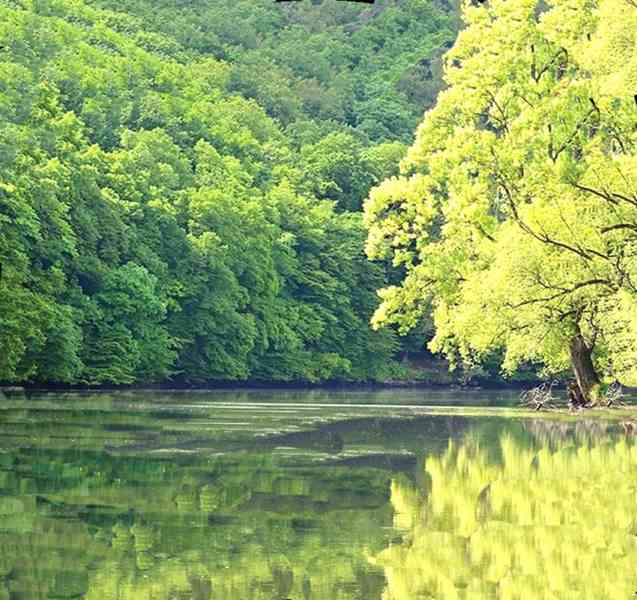 Pronajmu novostavbu 1+kk Brno,  Horní Heršpice. 43 m2 - foto 16