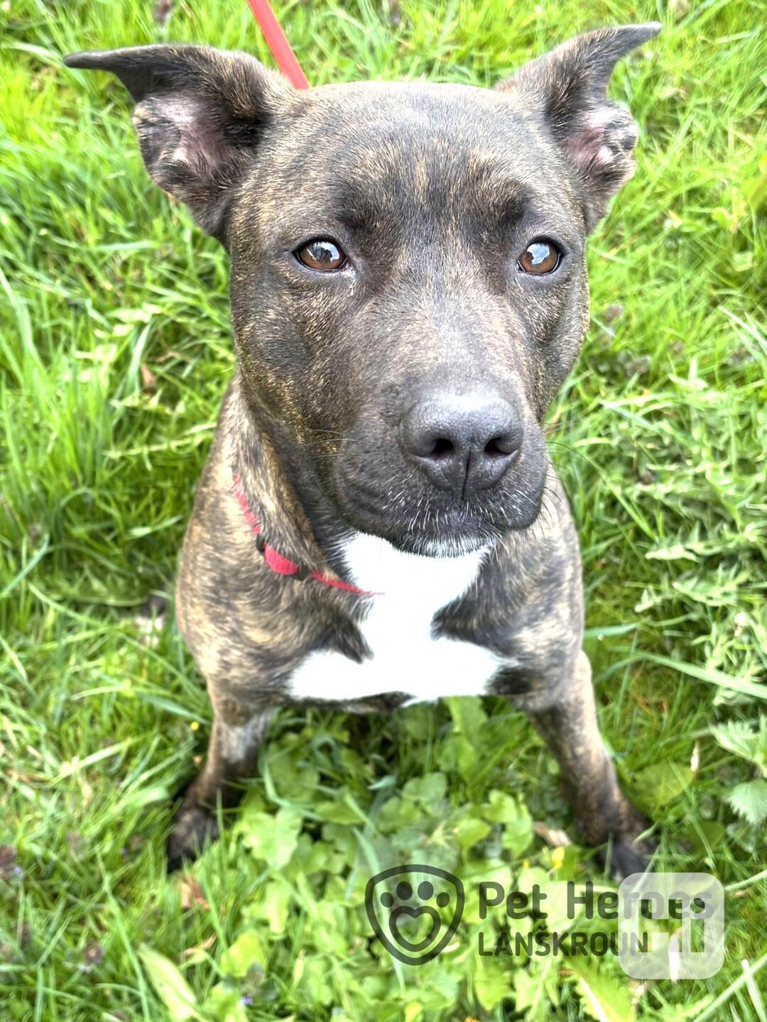 Kira ♥️ hravá princezna ♥️ - foto 1