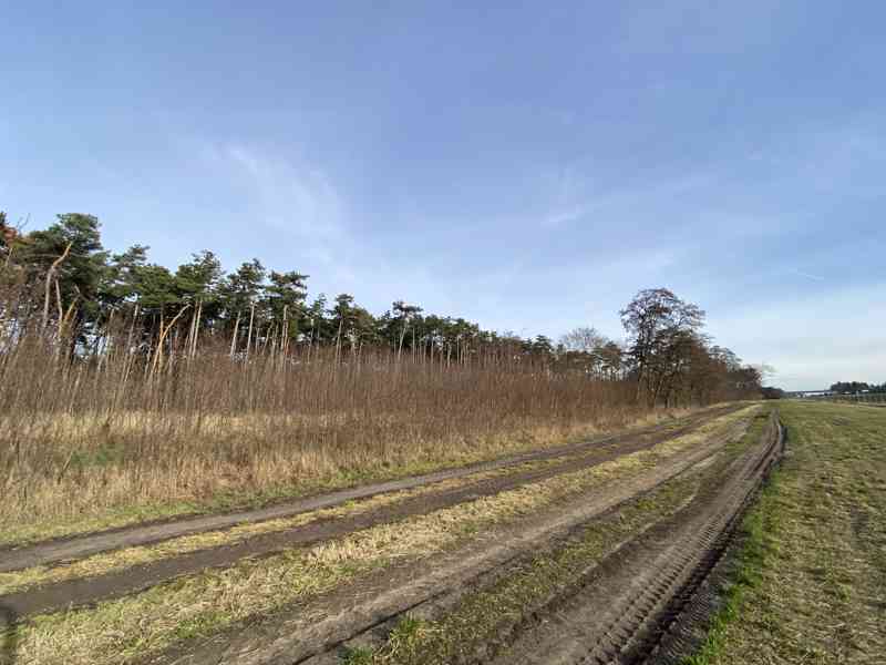 Lesní pozemek Kostelní Lhota - foto 4