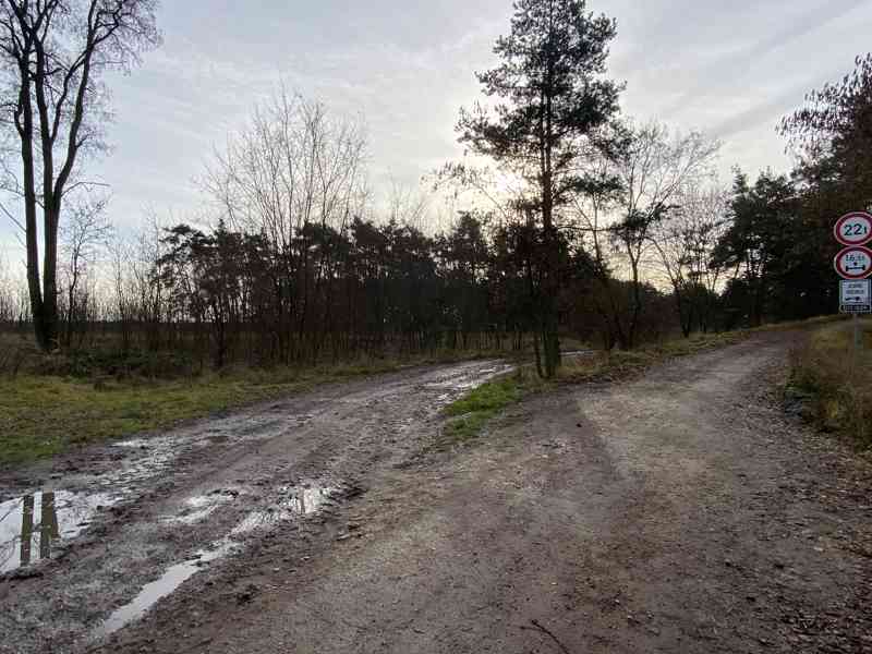 Lesní pozemek Kostelní Lhota - foto 7